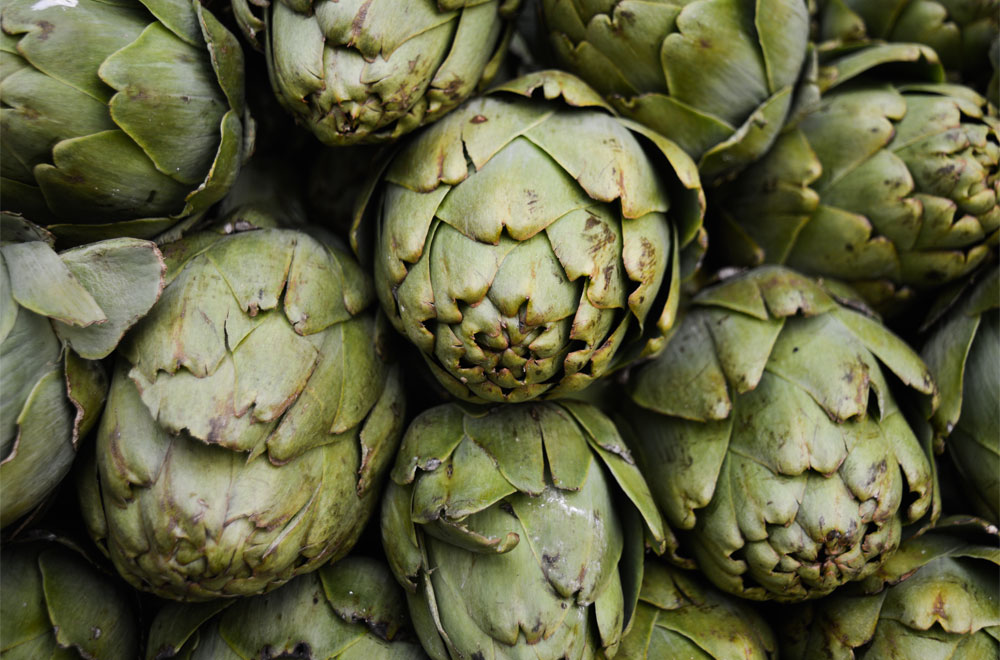 Artichoke Heart Leaves